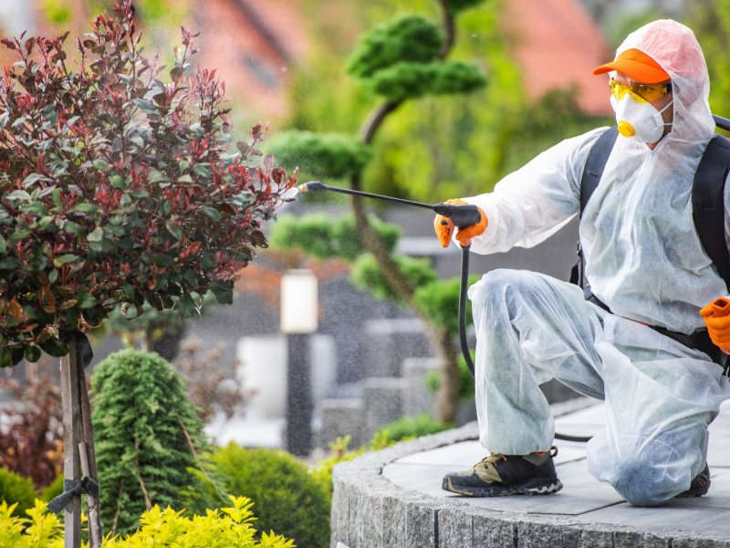 İzmit Haşere İlaçlama